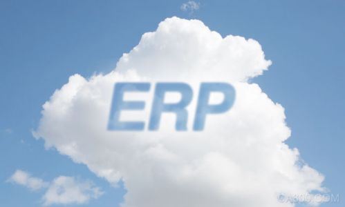 ERP 2016 2017