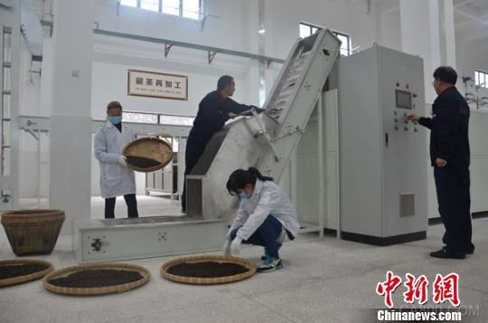 自动化,清洁化生产