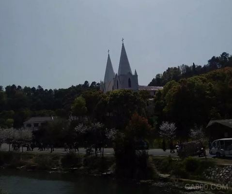 科威自控,团城山公园,樱花美景