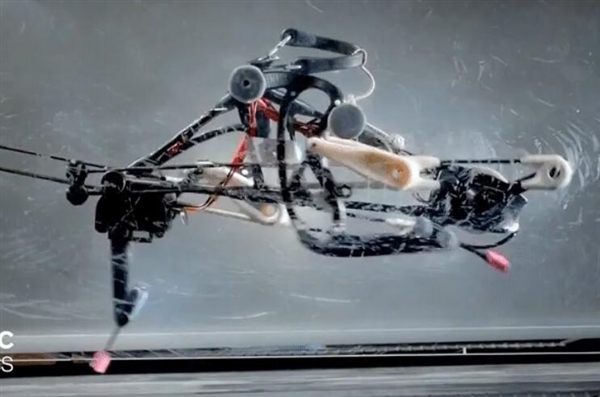 纯机械双脚机器人靠惯性疾奔：比肩摩托车