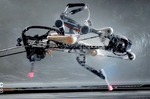 纯机械双脚机器人靠惯性疾奔：比肩摩托车