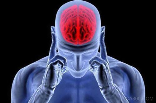 芯片,处理器,颅骨