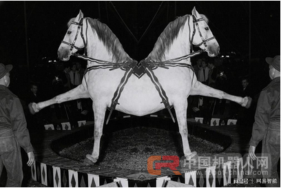 了解人工智能的识别机制,你更相信它的决定了吗?