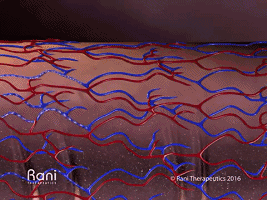 小小药丸机器人 也许将变革生物制剂的给药方式