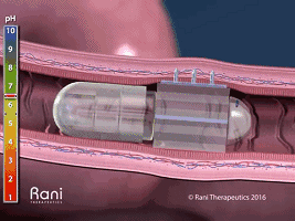 小小药丸机器人 也许将变革生物制剂的给药方式