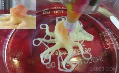 人工智能,软体机器人,自动化