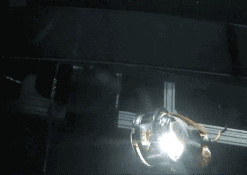 这个水下机器人可能在福岛核电站内发现堆芯熔化后形成的核残渣