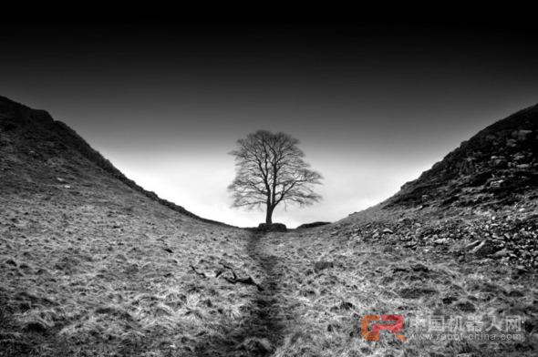 从“标王”到以用户为中心 家电经历了什么?