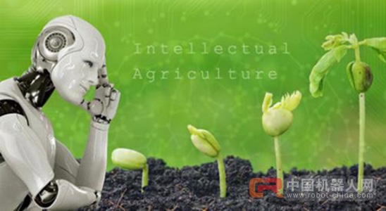 人工智能如何引领农业的落地应用！