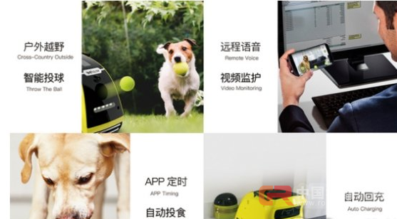 小蚁智家：领跑宠物智能硬件 陪伴机器人前景可期