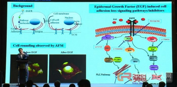 人类与疾病的斗争,已经需要纳米机器人了