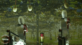 摘苹果机器人已出现,一台机器顶12个人!