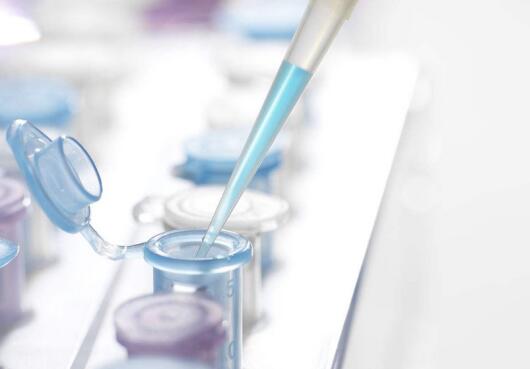 DNA,法医,物证鉴定