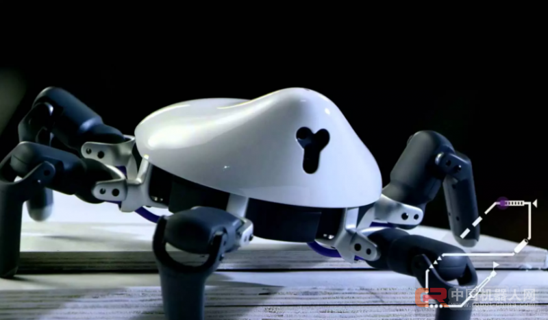 这个机器人蜘蛛想成为机器人界的iPhone