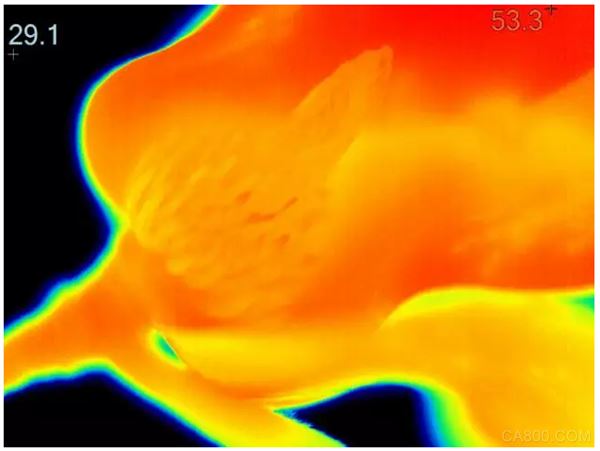 红外热像仪,热像图,操作技巧