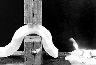 你见过吗？蛇形会生长的软体机器人