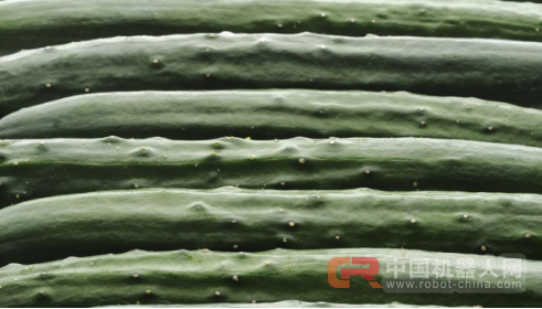 被玩坏?这家日本农场竟然用人工智能玩起了分捡黄瓜