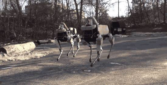 波士顿动力机器人跪了！搬箱子不成反摔倒