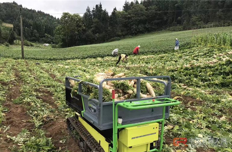 德州现"共享农机" 农民扫码支付可用喷药机器人