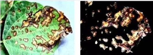 这些细分和新兴的领域可能没有那么酷炫，但人工智能正在其中大放异彩！