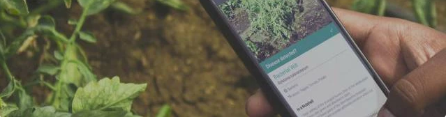 这些细分和新兴的领域可能没有那么酷炫，但人工智能正在其中大放异彩！