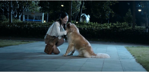 智能宠物机器人：AI时代的宠物经济风口？