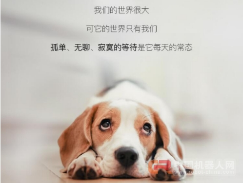 智能宠物机器人：AI时代的宠物经济风口？