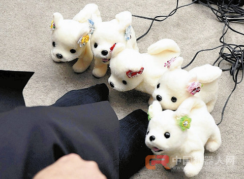 日本推出小狗机器人 可根据脚臭程度做出不同反应