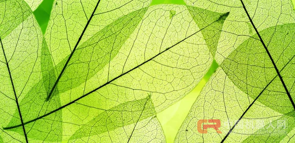 2017全球十大新兴技术,或在未来三五年内落地