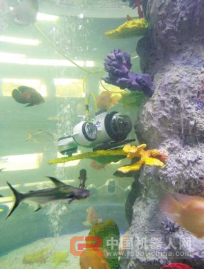 戴上VR头盔 跟着水下机器人&ldquo;闹海&rdquo;