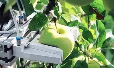 农业机器人将迎发展机遇 加速农业标准化进程