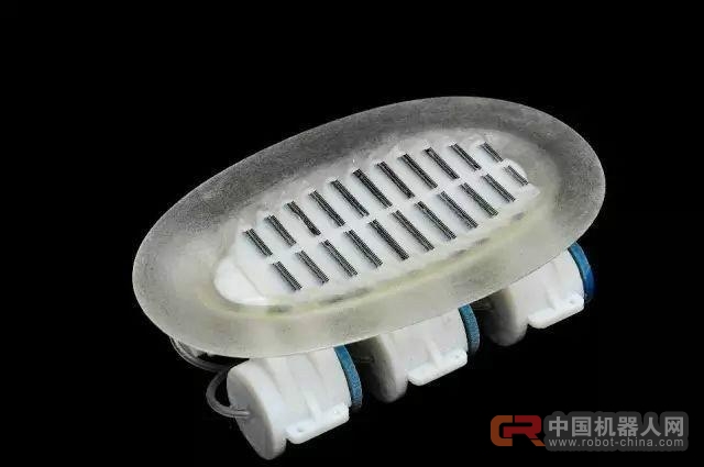 可“搭便车”的仿生机器鮣鱼诞生 用于海洋研究