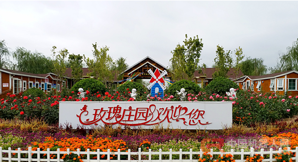 大王古庄镇持续发力 打造京滨智能制造小镇