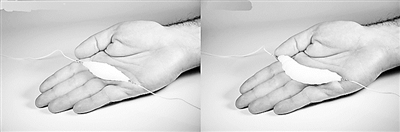 尝试3D打印人造肌肉