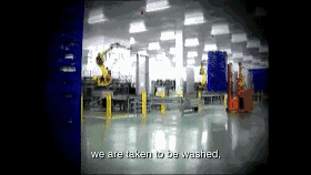 68台工业机器人日处理55万棵蔬菜,蔬菜工人面临下岗?