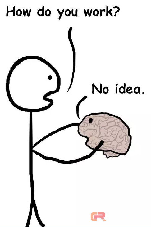 脑机结合新成果！研究人员能提前预测一只鸟要唱什么歌