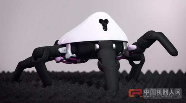 可编程全地形机器人HEXA京东众筹完美收官，成为撬动机器人创新的支点