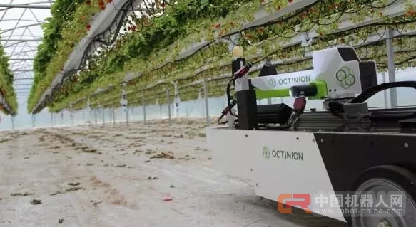 机器人能用机器视觉摘草莓 还能看出熟不熟