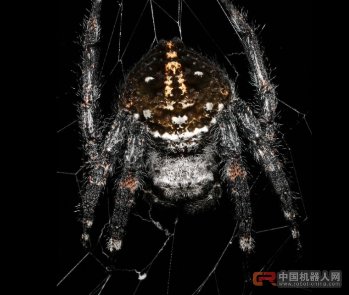 不只电影中的蜘蛛侠可以&ldquo;吐丝&rdquo;，现实中的无人机也可以