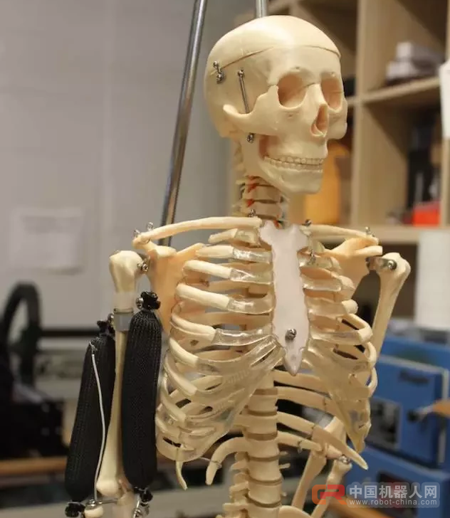 从「3D打印肌肉」到「意念移动机器」,探访哥大神秘机器人实验室