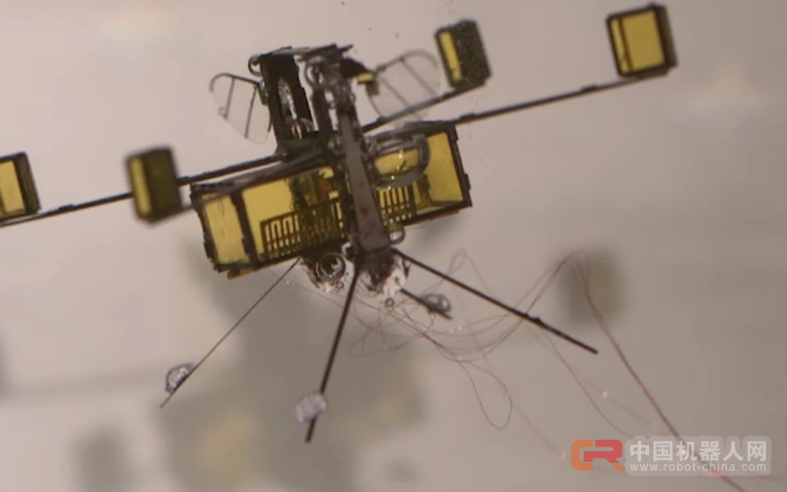 哈佛的这只&ldquo;蜜蜂&rdquo;机器人游泳潜水全都会，还能轻松破水而出
