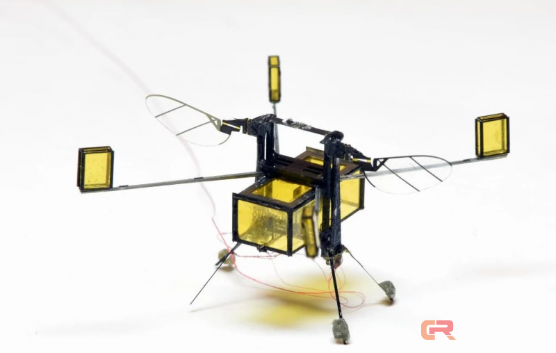 哈佛的这只&ldquo;蜜蜂&rdquo;机器人游泳潜水全都会，还能轻松破水而出