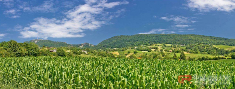 人工智能技术如何用在环保上？来看看这几个做法