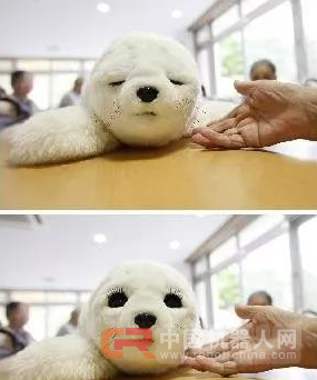 新奇丨会撒娇会卖萌 陪伴型机器人还能与老人情感&ldquo;交流&rdquo;