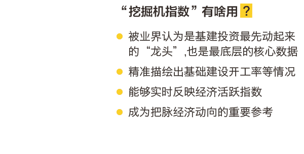 挖掘机指数,中国经济