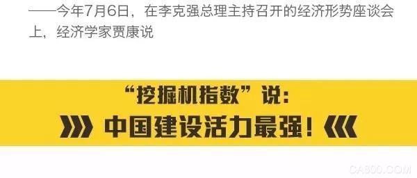 挖掘机指数,中国经济