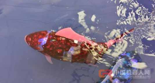 重庆机器人展示中心将对外开放 集聚“高精尖”