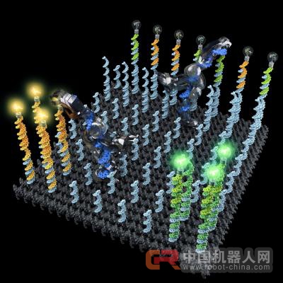 DNA机器人:巨大的一小步
