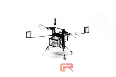 飞行、潜水和游泳？ 新型蜜蜂机器人&ldquo;升级换代&rdquo;