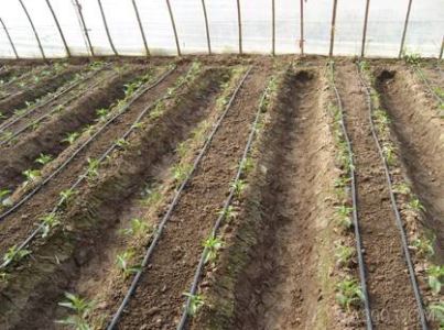 农业,华北工控,工业级嵌入式电脑